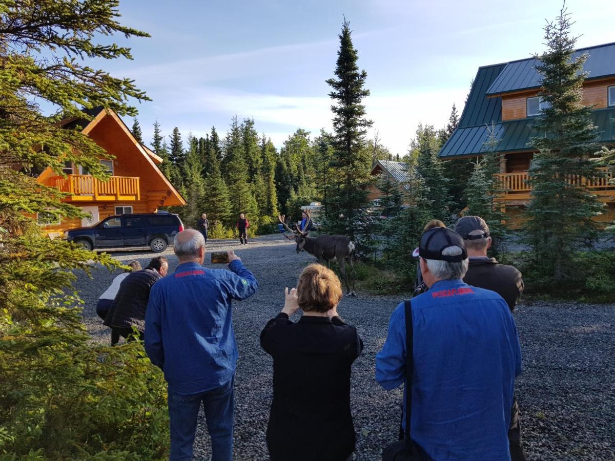 Salmon Catcher Lodge Kenai Ngoại thất bức ảnh